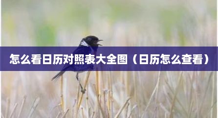 怎么看日历对照表大全图（日历怎么查看）