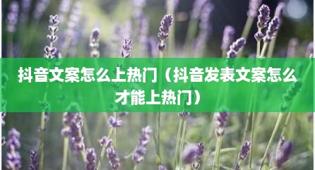 抖音文案怎么上热门（抖音发表文案怎么才能上热门）
