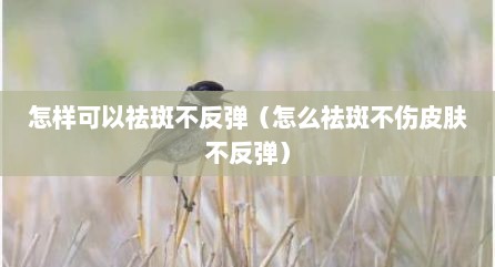 怎样可以祛斑不反弹（怎么祛斑不伤皮肤不反弹）