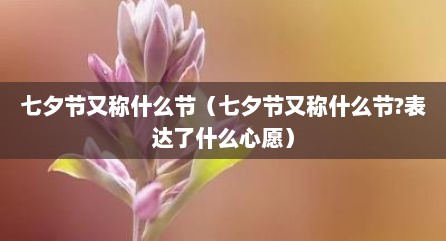 七夕节又称什么节（七夕节又称什么节?表达了什么心愿）