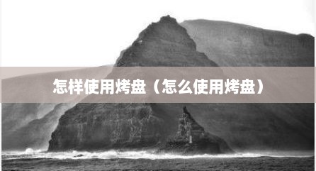怎样使用烤盘（怎么使用烤盘）