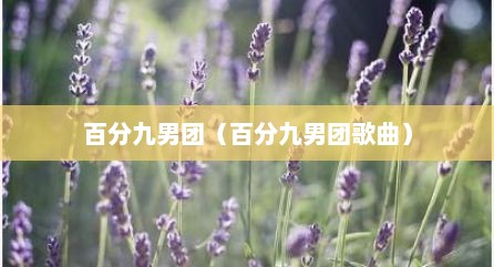 百分九男团（百分九男团歌曲）