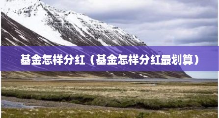 基金怎样分红（基金怎样分红最划算）
