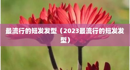 最流行的短发发型（2023最流行的短发发型）