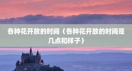 各种花开放的时间（各种花开放的时间是几点和样子）