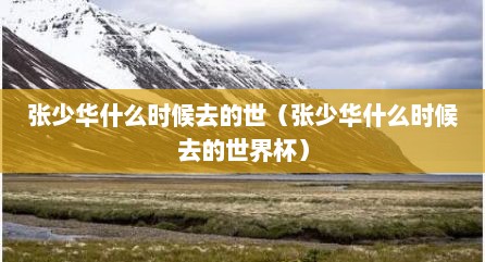 张少华什么时候去的世（张少华什么时候去的世界杯）