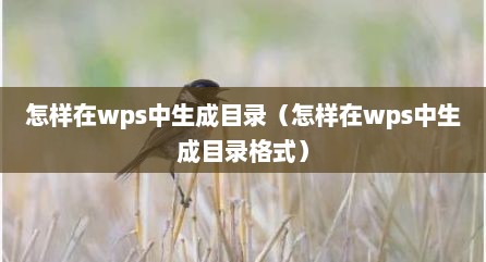 怎样在wps中生成目录（怎样在wps中生成目录格式）