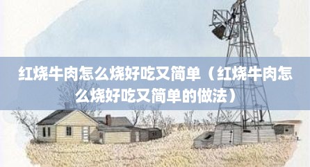 红烧牛肉怎么烧好吃又简单（红烧牛肉怎么烧好吃又简单的做法）
