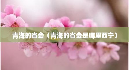 青海的省会（青海的省会是哪里西宁）