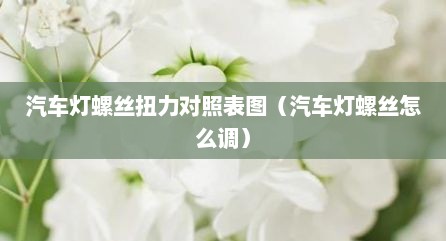 汽车灯螺丝扭力对照表图（汽车灯螺丝怎么调）