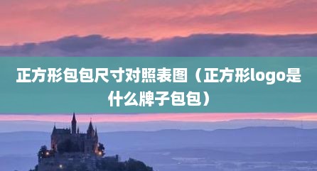 正方形包包尺寸对照表图（正方形logo是什么牌子包包）