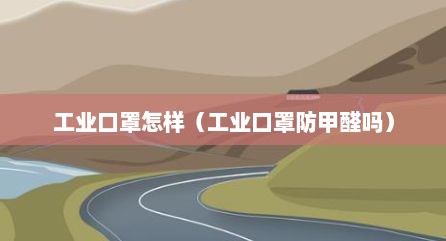 工业口罩怎样（工业口罩防甲醛吗）