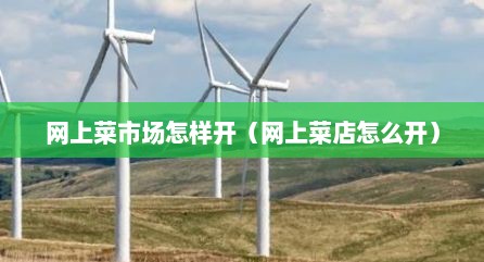网上菜市场怎样开（网上菜店怎么开）