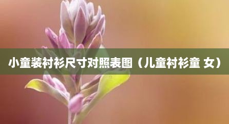 小童装衬衫尺寸对照表图（儿童衬衫童 女）