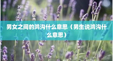 男女之间的鸿沟什么意思（男生说鸿沟什么意思）
