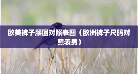 欧美裤子腰围对照表图（欧洲裤子尺码对照表男）
