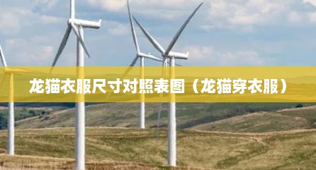 龙猫衣服尺寸对照表图（龙猫穿衣服）