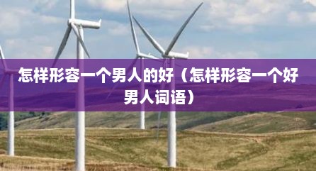 怎样形容一个男人的好（怎样形容一个好男人词语）