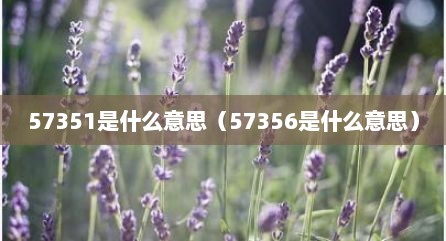 57351是什么意思（57356是什么意思）