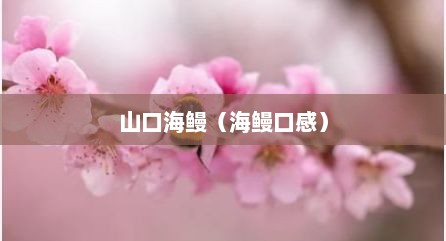 山口海鳗（海鳗口感）