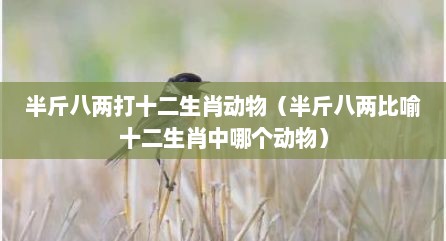 半斤八两打十二生肖动物（半斤八两比喻十二生肖中哪个动物）