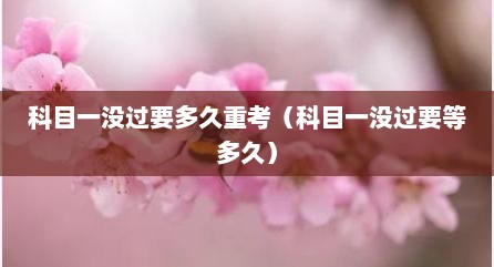 科目一没过要多久重考（科目一没过要等多久）