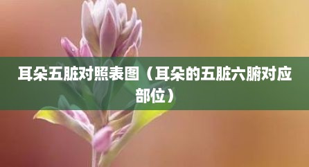 耳朵五脏对照表图（耳朵的五脏六腑对应部位）