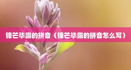 锋芒毕露的拼音（锋芒毕露的拼音怎么写）