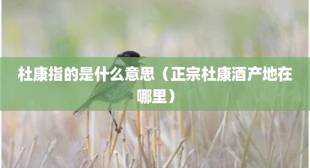 杜康指的是什么意思（正宗杜康酒产地在哪里）