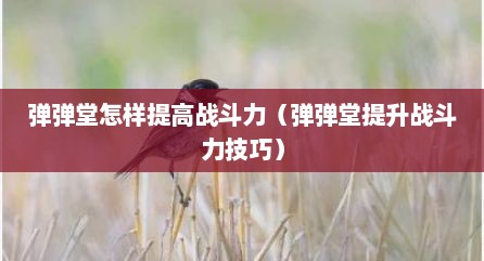 弹弹堂怎样提高战斗力（弹弹堂提升战斗力技巧）
