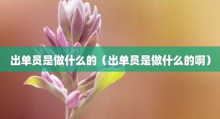 出单员是做什么的（出单员是做什么的啊）
