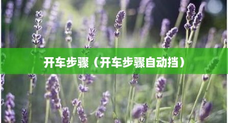 开车步骤（开车步骤自动挡）