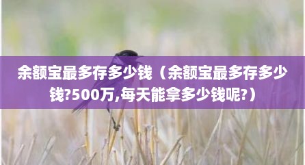 余额宝最多存多少钱（余额宝最多存多少钱?500万,每天能拿多少钱呢?）