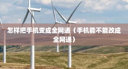 怎样把手机变成全网通（手机能不能改成全网通）