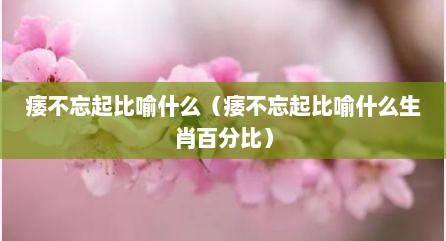 痿不忘起比喻什么（痿不忘起比喻什么生肖百分比）