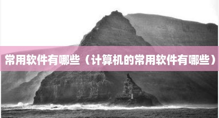 常用软件有哪些（计算机的常用软件有哪些）