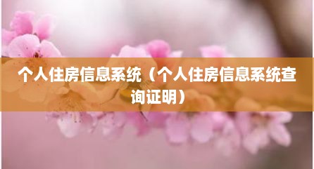 个人住房信息系统（个人住房信息系统查询证明）