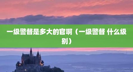 一级警督是多大的官啊（一级警督 什么级别）