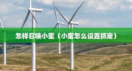 怎样召唤小蜜（小蜜怎么设置抓宠）