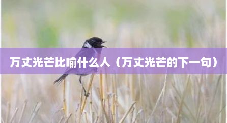万丈光芒比喻什么人（万丈光芒的下一句）