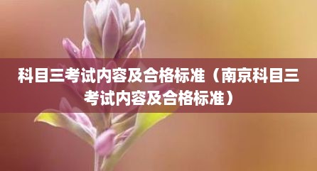 科目三考试内容及合格标准（南京科目三考试内容及合格标准）