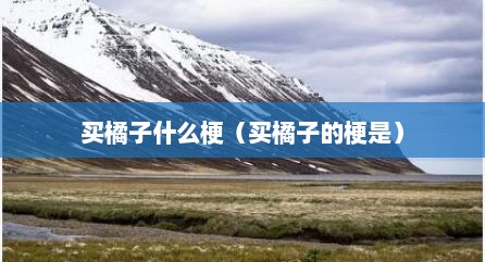 买橘子什么梗（买橘子的梗是）
