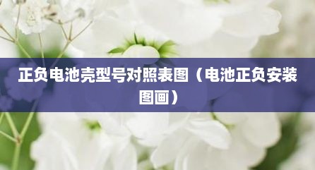 正负电池壳型号对照表图（电池正负安装图画）