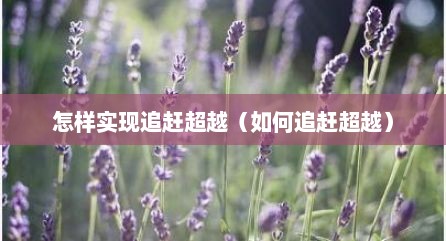怎样实现追赶超越（如何追赶超越）