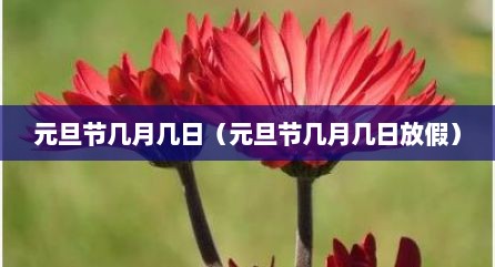 元旦节几月几日（元旦节几月几日放假）