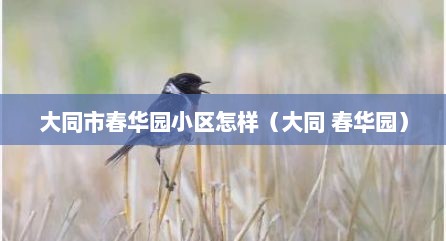 大同市春华园小区怎样（大同 春华园）