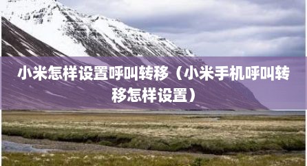 小米怎样设置呼叫转移（小米手机呼叫转移怎样设置）