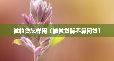 微粒贷怎样用（微粒贷算不算网贷）