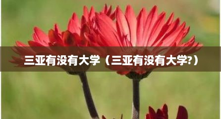 三亚有没有大学（三亚有没有大学?）