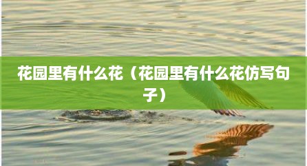 花园里有什么花（花园里有什么花仿写句子）